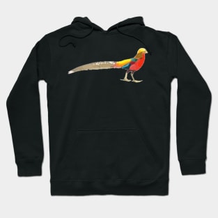 Golden Pheasant Digital Painting Hoodie